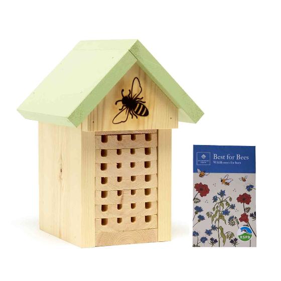 Solitary bee house with wildflower seeds product photo default L