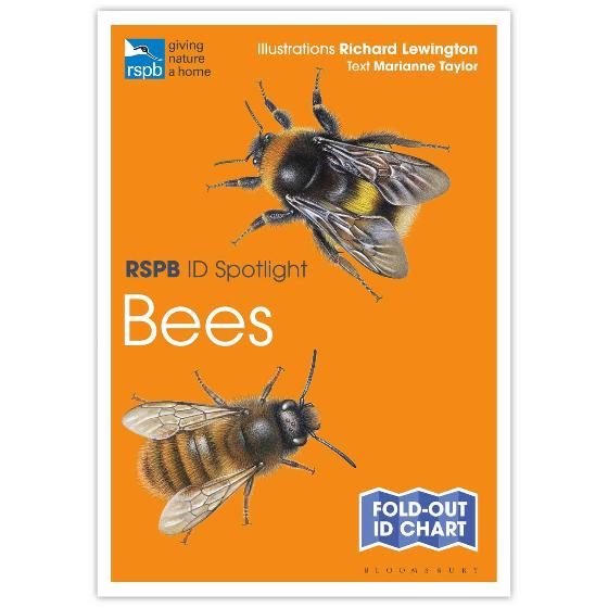 Bees identifier chart - RSPB ID Spotlight series product photo default L