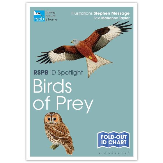 Birds of prey identifier chart - RSPB ID Spotlight series product photo default L