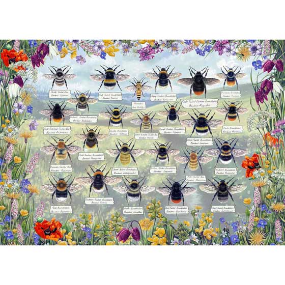 Brilliant bees jigsaw puzzle 1000-piece product photo side L
