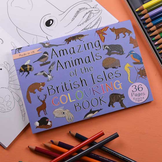Amazing animals of the British Isles colouring book product photo default L