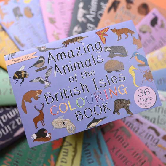 Amazing animals of the British Isles colouring book product photo back L