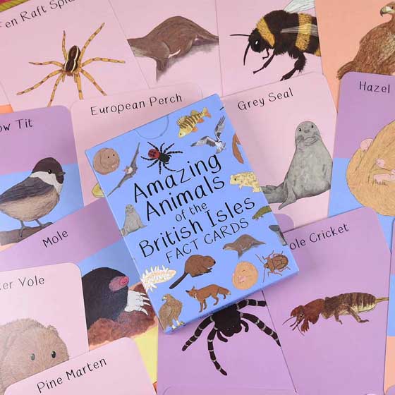 Amazing animals of the British Isles fact cards product photo side L