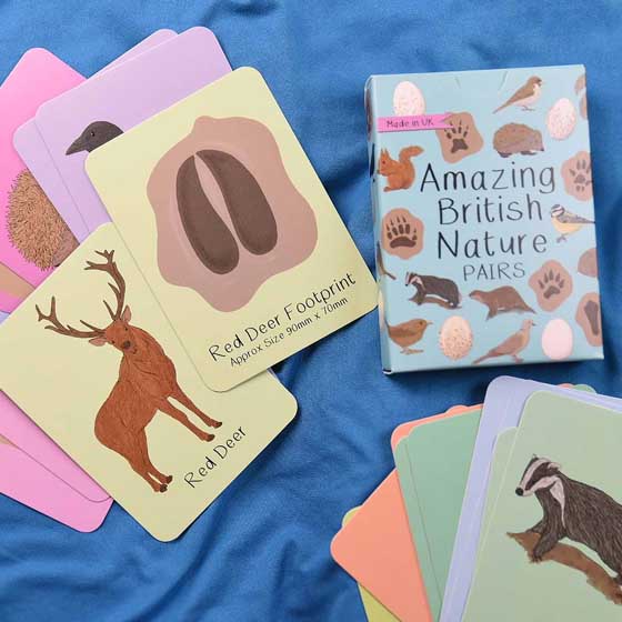 Amazing British nature pairs matching game product photo side L