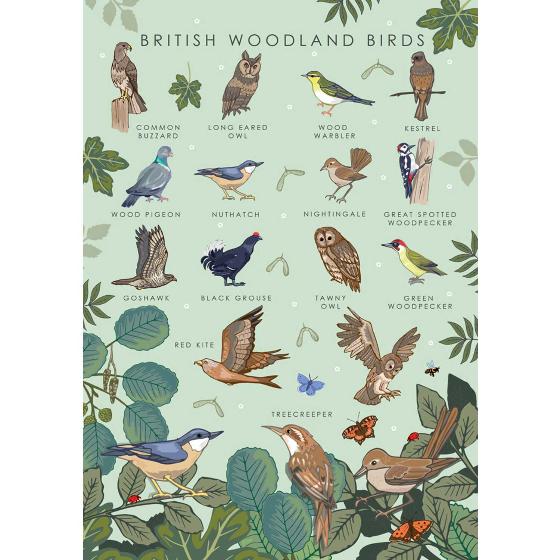 British woodland birds greetings card product photo default L