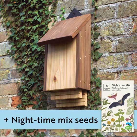 Burford twin chamber bat box and night-time mix seed pack product photo default L