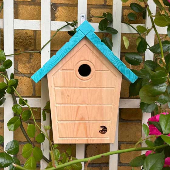 RSPB Cabin nest box, aquamarine product photo default L