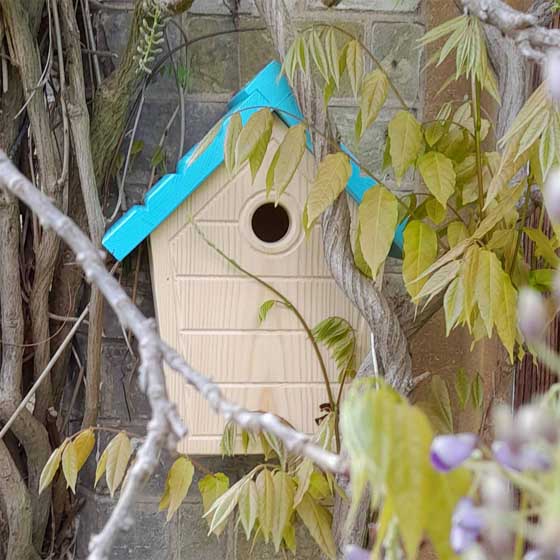 RSPB Cabin nest box, aquamarine product photo back L