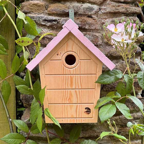 RSPB Cabin nest box, dusty pink product photo default L