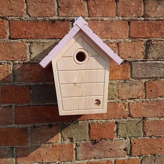 RSPB Cabin nest box, dusty pink product photo back L