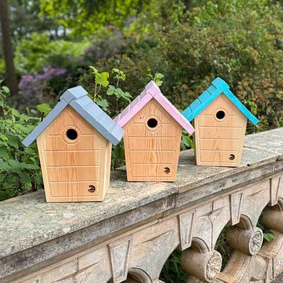 RSPB Cabin nest boxes, set of 3 product photo default L