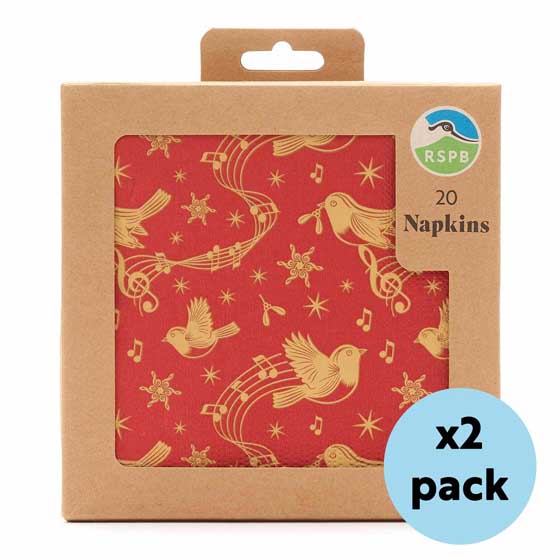 RSPB Christmas chorus Robin napkins, x40 product photo default L