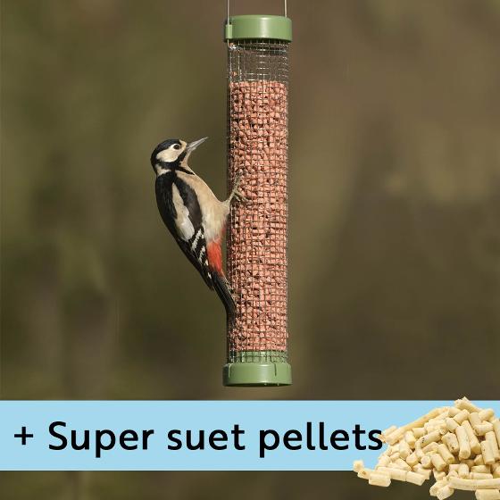 Classic easy-clean® suet pellet and peanut medium feeder with 1kg Super suet pellets  - mealworm product photo default L
