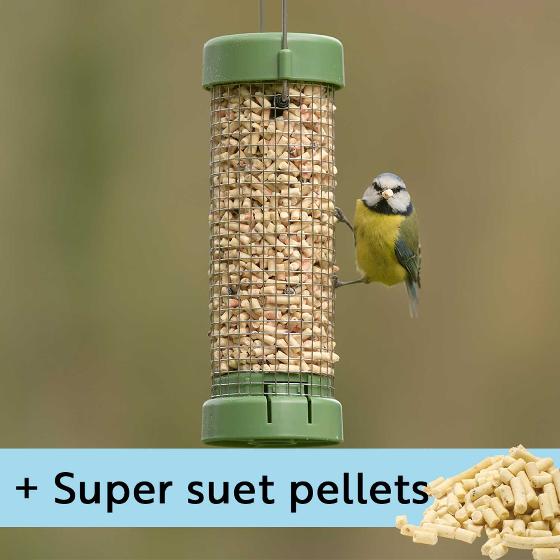 RSPB Classic easy-clean® small suet pellet and peanut feeder with 1kg Super suet pellets  - mealworm product photo default L