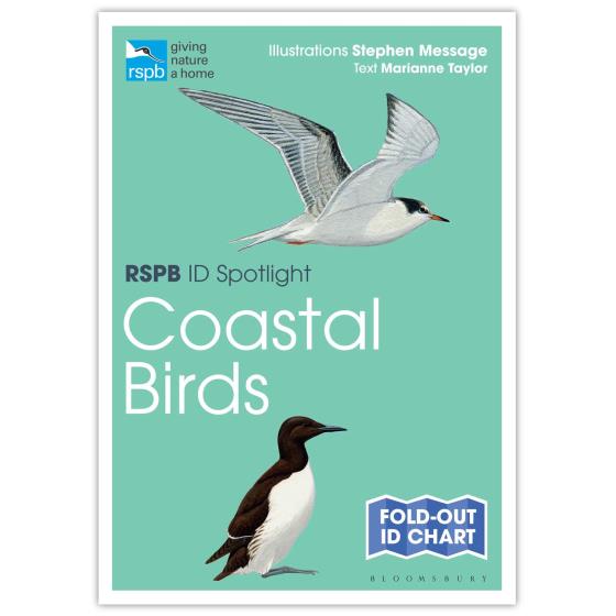 Coastal birds identifier chart - RSPB ID Spotlight series product photo default L