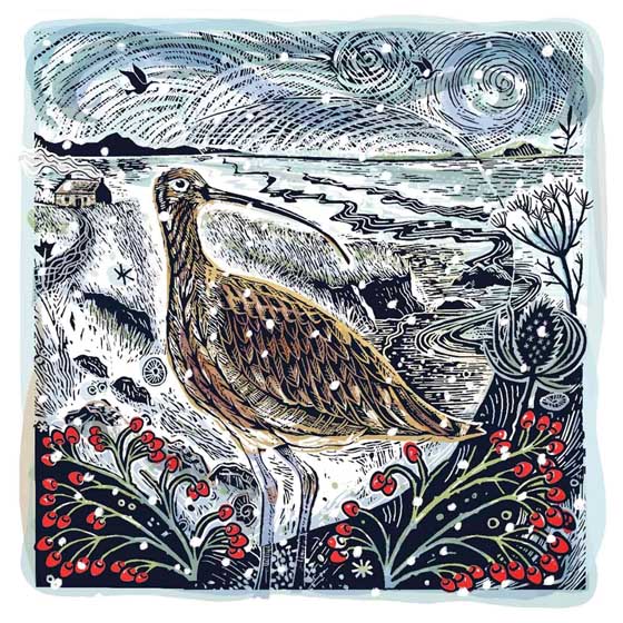 Coastal Curlew Christmas cards, pack of 10 product photo default L