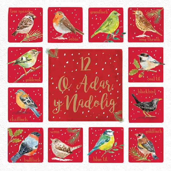 Dazzling dozen Welsh Christmas cards, pack of 10 product photo default L