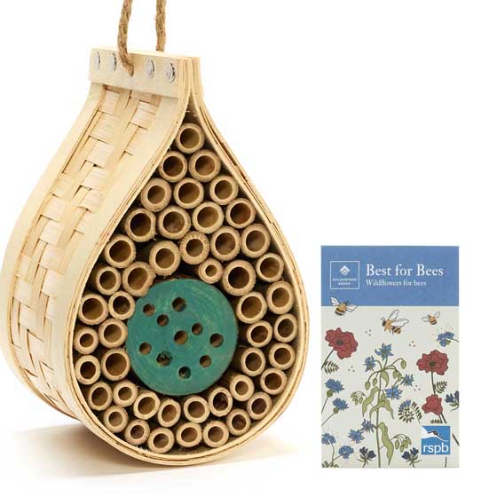 Dewdrop bee biome with wildflower seeds product photo default L