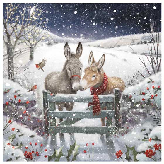 Donkey duet Christmas cards, pack of 10 product photo default L