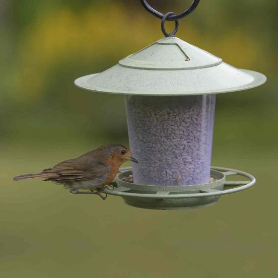 Eco beacon bird feeder product photo ai4 L