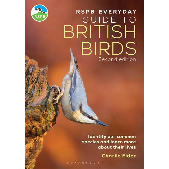 RSPB Everyday Guide to British Birds (2nd edition) product photo default L