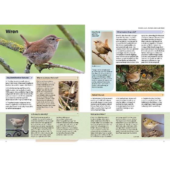 RSPB Everyday Guide to British Birds (2nd edition) product photo side L