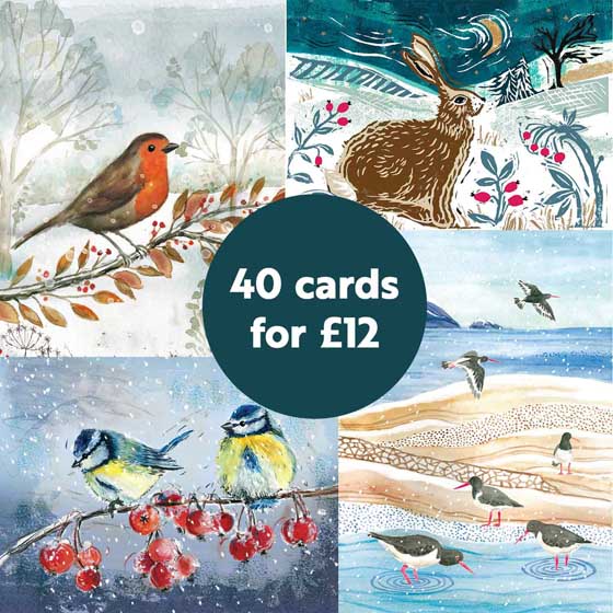 RSPB Fab 40 large box of Christmas cards product photo default L