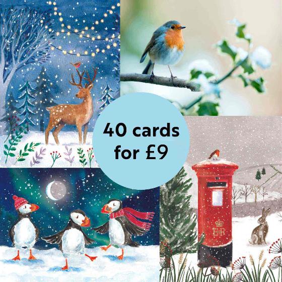 RSPB Fab 40 bumper pack charity Christmas cards product photo front L