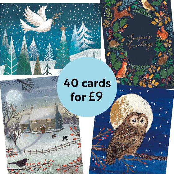 RSPB Fab 40 bumper pack charity Christmas cards product photo back L