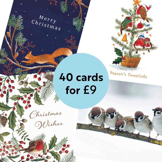 RSPB Fab 40 bumper pack charity Christmas cards product photo ai4 L