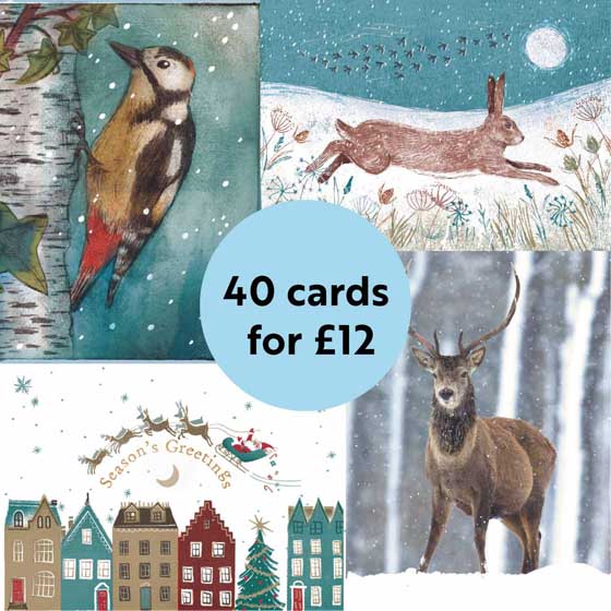 RSPB Fab 40 bumper pack charity Christmas cards product photo side L