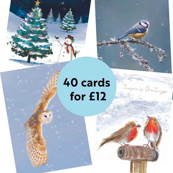 RSPB Fab 40 bumper pack charity Christmas cards product photo front L
