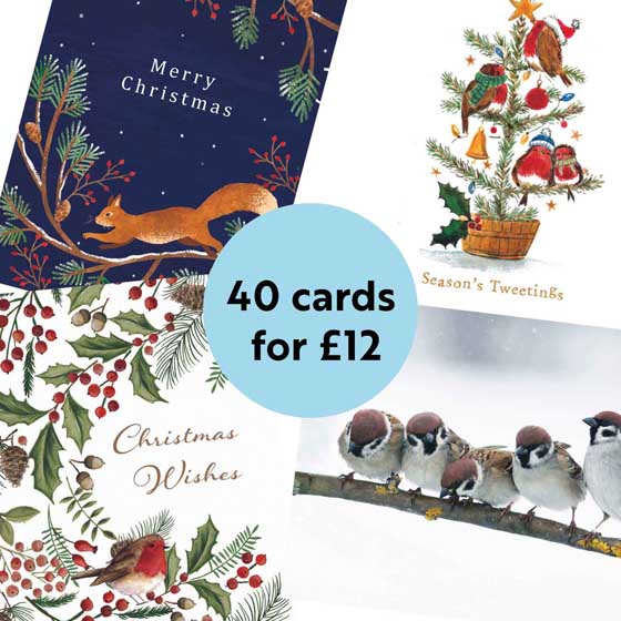 RSPB Fab 40 bumper pack charity Christmas cards product photo ai5 L
