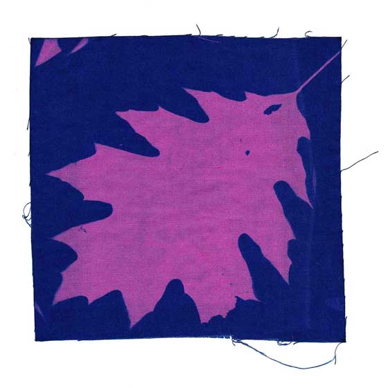 Fabric sunography kit product photo ai5 L