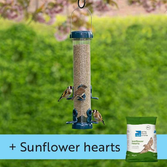 Flo Festival high capacity seed feeder with 4kg premium sunflower hearts product photo default L
