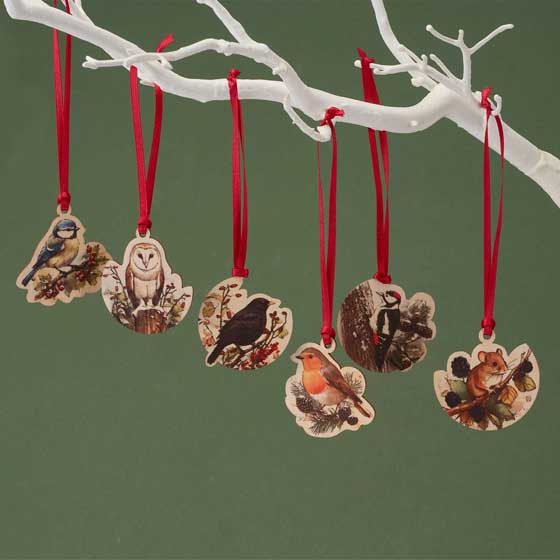 Fruits of the forest recycled crackers with wooden decorations, box of six product photo back L