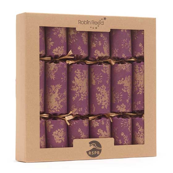 Fruits of the forest recycled crackers with wooden decorations, box of six product photo front L