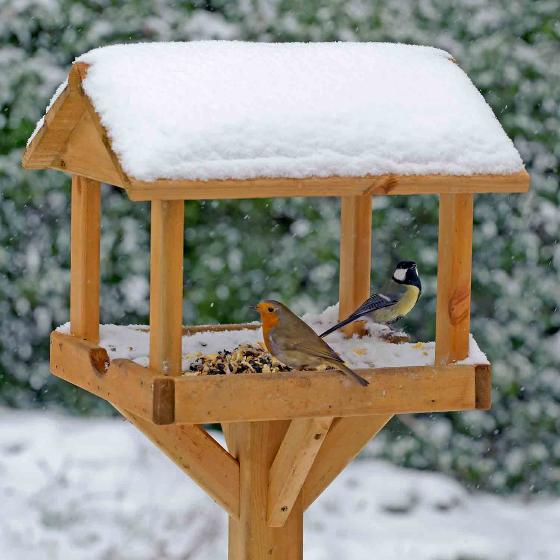 Gallery bird table product photo ai5 L