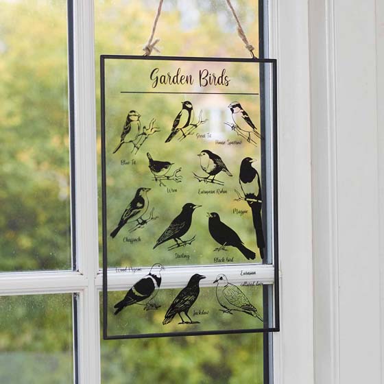 Garden birds glass hanging plaque product photo ai5 L