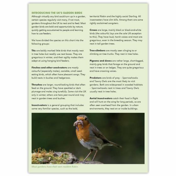 Garden birds identifier chart - RSPB ID Spotlight series product photo back L