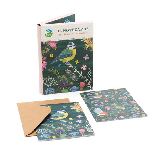 RSPB Garden birds A6 notecards, pack of 12 - Beyond the hedgerow collection product photo default L