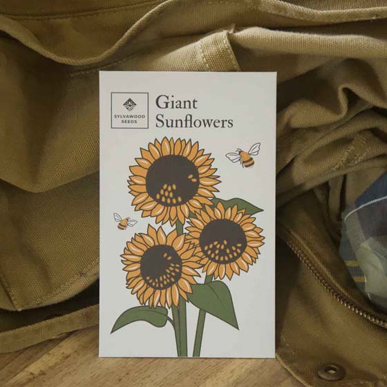 Giant sunflower seed pack product photo side L