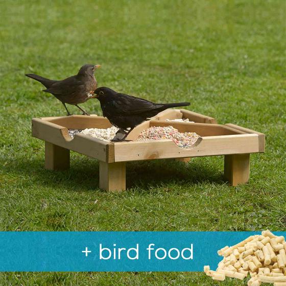 RSPB Ground feeding table & food offer product photo default L
