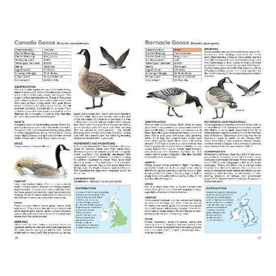 RSPB Handbook of British Birds, 5th edition product photo ai4 L