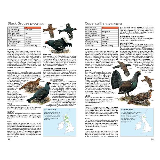 RSPB Handbook of British Birds, 5th edition product photo ai6 L
