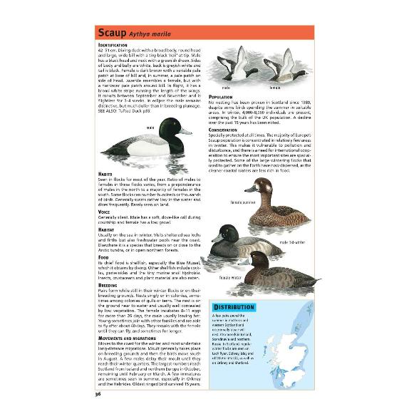 RSPB Handbook of Scottish Birds 2nd edition product photo front L