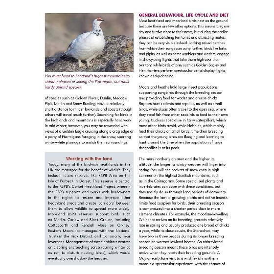 RSPB ID Spotlight - Birds of heath, moor and mountain product photo back L