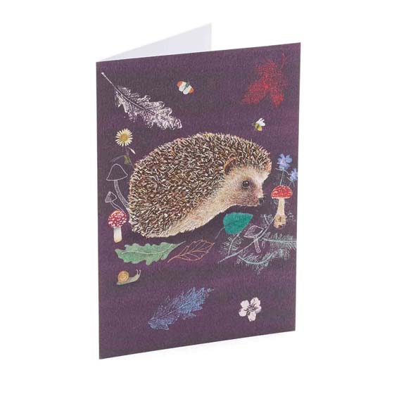 RSPB Mini hedgehog notecards, pack of 6, Beyond the hedgerow collection product photo back L