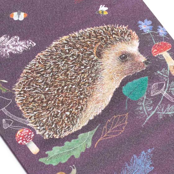 RSPB Mini hedgehog notecards, pack of 6, Beyond the hedgerow collection product photo front L