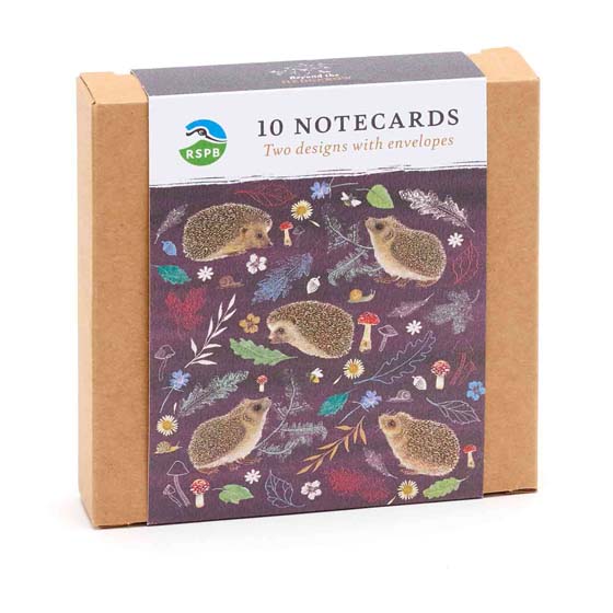 RSPB Hedgehog notecards, pack of 10 - Beyond the hedgerow collection product photo side L